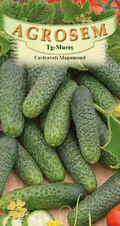 Mapamond Cucumbers