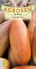 White Onion-Tosca