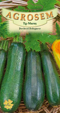 Zucchini Bolognese