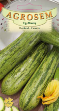 Courgette-Caserta