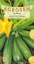 Grey Zucchini Squash