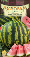 Watermelon-Dochiţa