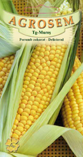Porumb zaharat-Deliciosul