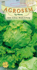 Iceberg Lettuce-Blonde de Paris