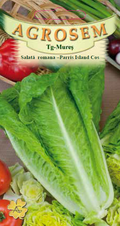 Romaine Lettuce - Parris Island Cos