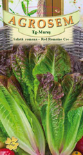 Red Romaine Lettuce