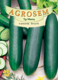 Tessa F1 semi-long cucumbers