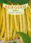 Dwarf bean-Rocquencourt