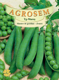Zsuzsi Garden Pea