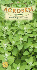Garden Orach - Green