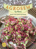 Beetroot for sprouting