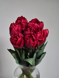 Lalele RED FOXTROT 12/+ - Pachet 10 Bulbi