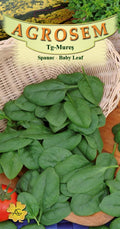 Spinach - Baby Leaf