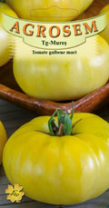 Large Yellow White Tomatoes
