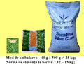White clover with Rhizobium